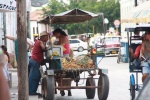 mercado
mercado, calles, están, llenas, vendedores, itinerantes, carros, toda, ciudad, ofreciendo, productos