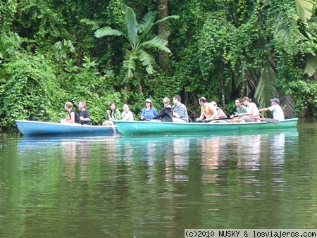 Tortuguero - Parque Nacional de Costa Rica - Forum Central America and Mexico