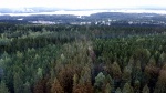 Vista desde la torre Puijo - Kuopio