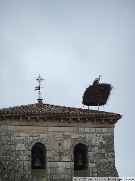 Covarrubias (burgos)
Cigueña sobre la torre de la colegiata de Covarrubias
