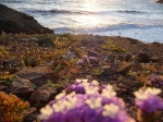 Cabo de Gata II