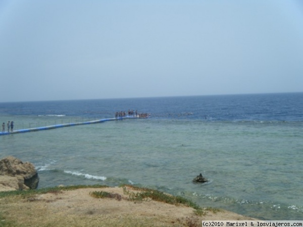 Sharm el Sherij Playa Hotel
Lo mejor sin duda esta debajo del agua, preciosidad de corales y fauna marina
