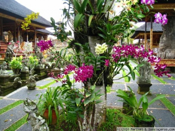 Bali Orquideas
Asi como si nada, una belleza increible, son especiales¡¡¡¡¡¡¡¡¡¡¡¡¡¡¡
