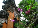 Bali Temple and Orchids