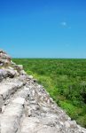 cobá