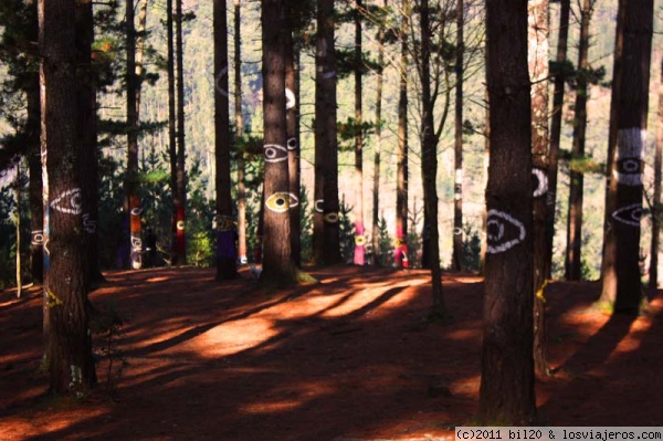 Bosque de Oma
Bosque de Oma o Bosque Animado, Kortezubi, Bizkaia

Creado por Agustin Ibarrola
