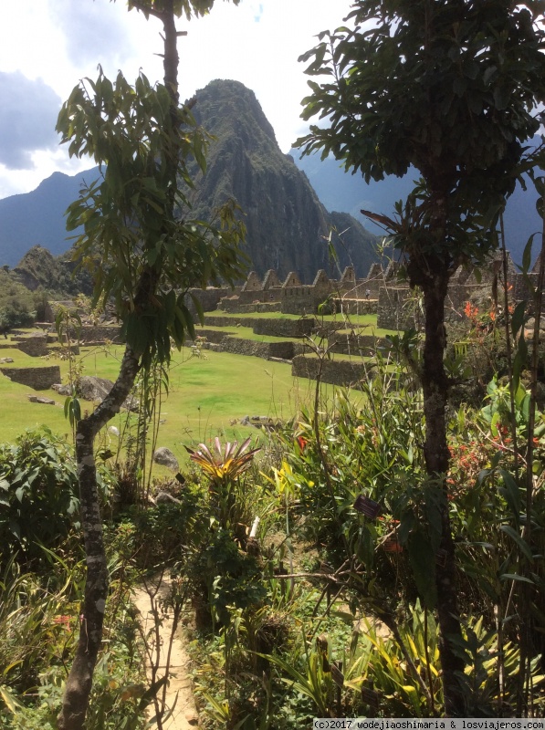 Dia 8. Machu Picchu. Cusco-Aguas Calientes-Ollantaytambo ( 2 septiembre) - Nuestro viaje a Peru en 15 dias (6)