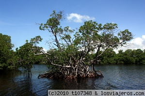 Sian Ka'an - Laguna
Vista de las lagunas de Sian Ka'an
