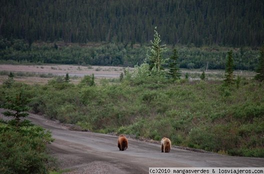 Denali National Park, Alaska
