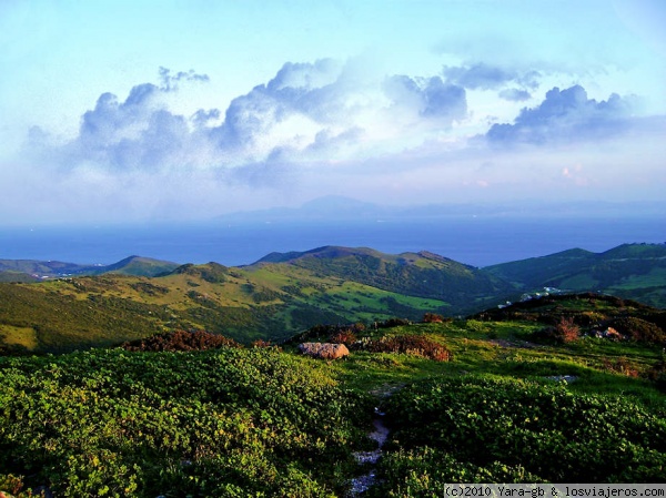 Estrecho de Gibraltar (Mirador en Tarifa)
Podria ser cualquier paisaje del norte pero  es Tarifa este invierno que debido a la gran cantidad de lluvia caida tenia todo un inusual color verde.

Al fondo se ve la costa africana.
