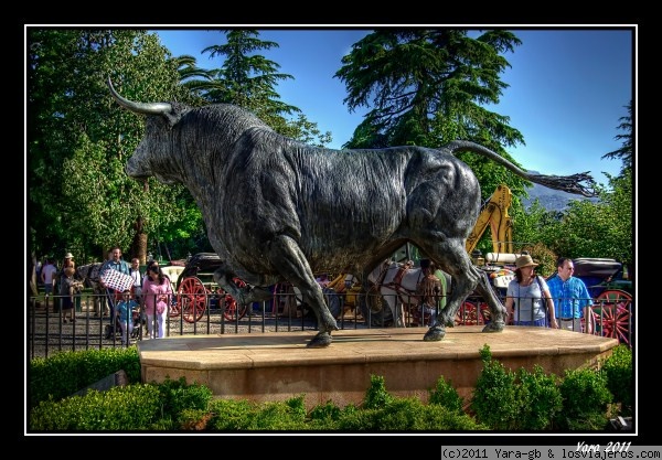 Pueblo de Ronda (Malaga)
Escultura de un toro bravo en Ronda.

La escultura impresiona porque es super realista.
