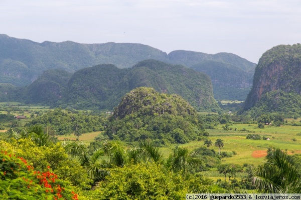 mogotes en viñales
parque nacional de Viñales patrimonio de la humanite
