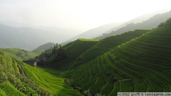 Terrazas de arroz de Longji
Terrazas de arroz cerca de Ping'an
