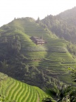 Terrazas de arroz de Longji