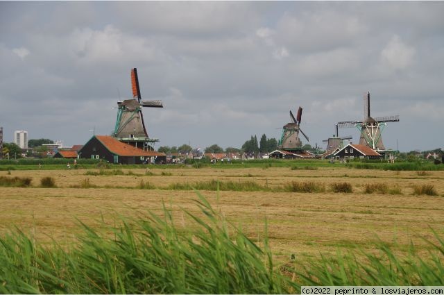 Holanda casi al completo - Blogs de Holanda - ETAPA 7: ZAANSE SCHANS-ALKMAAR (1)