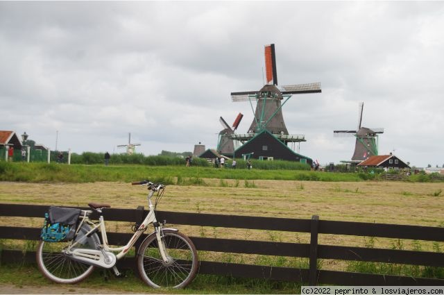 Holanda casi al completo - Blogs de Holanda - ETAPA 7: ZAANSE SCHANS-ALKMAAR (2)