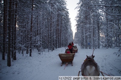 Visita a Santa Claus Village - Blogs of Finland - Día 2: LLEGADA Y SANTA CLAUS VILLAGE (4)