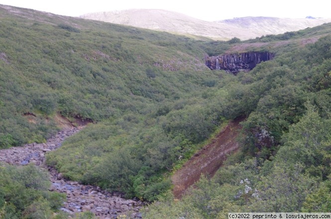 Descubriendo el Sur de Islandia - Blogs de Islandia - ETAPA 7: HOF-SVARTIFOSS-VIK (1)