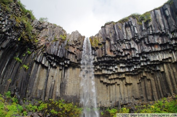 Descubriendo el Sur de Islandia - Blogs de Islandia - ETAPA 7: HOF-SVARTIFOSS-VIK (3)