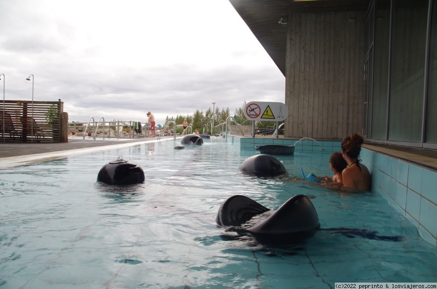 Descubriendo el Sur de Islandia - Blogs de Islandia - ETAPA 8: VIK-SELFOSS (3)