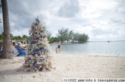 3º día: Star fish point y Rum Point - 3 días en las Islas Caimán desde Miami (3)