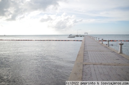 3º día: Star fish point y Rum Point - 3 días en las Islas Caimán desde Miami (5)