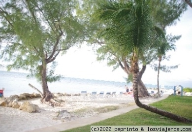 calita rum point
pequeña playa en islas caimán
