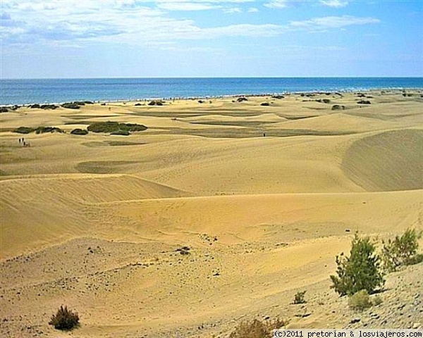 Dunas de Maspalomas
Panorámica de las dunas de la playa de Maspalomas en el sur de Gran Canaria
