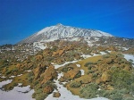 El Teide nevado
Teide, Vista, Llano, Ucanca, nevado, desde