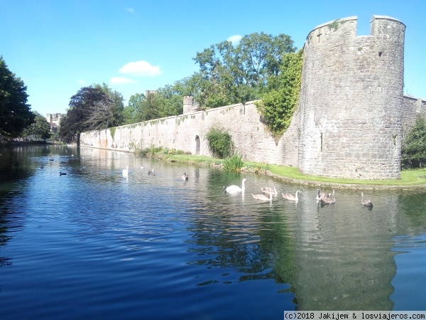 Muralla del recinto arzobispal, Wells
Muralla del recinto arzobispal, Wells
