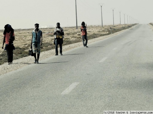 Inmigrantes
Inmigrantes senegaleses en el sahara pidiendo agua
