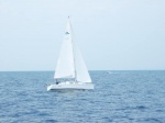 Barco velero
barco cerdeña italia