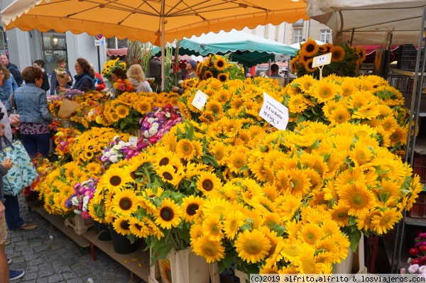 Mercado de Vannes - Bretaña
Puesto de flores en el mercado de Vannes - Bretaña
