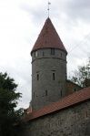 Torre en la muralla medieval de Tallin, Estonia
