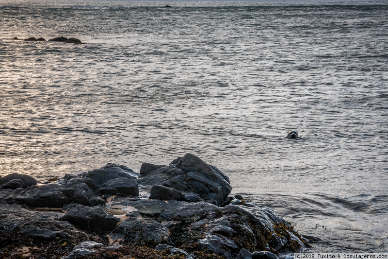 Semana de Noviembre en Islandia - Blogs de Islandia - Snaefellsnes (1)