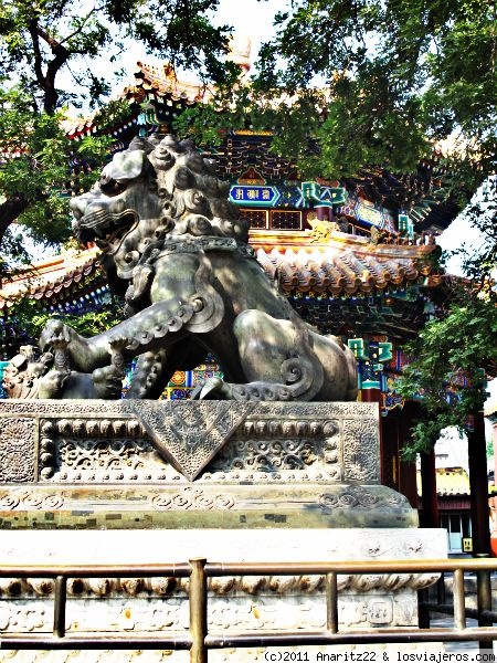 León Chino o Guardián Templo de los Lamas
León Chino o Guardián. Se colocan a la entrada de los edificios para protegerlos. Siempre se pone una pareja, el macho jugando con una bola, y la hembra con un cachorro.
