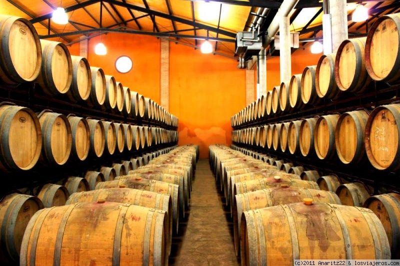 Forum of Rioja: Barricas de vino en Logroño