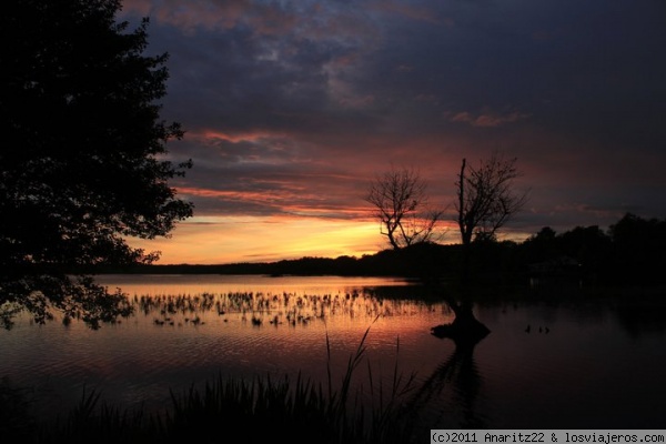 Paisaje en Las Landas - Francia
