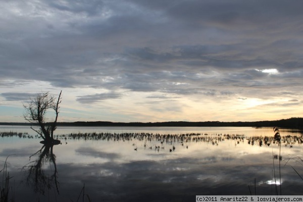 Lago en las Landas - Global