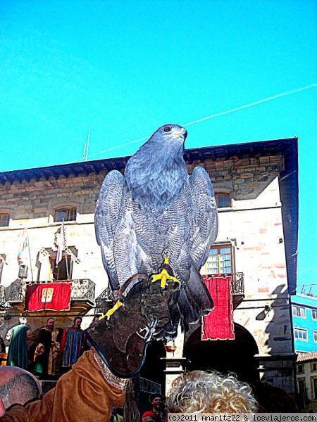 Halconero mostrando a su halcón en el Mercado Medieval de Balmaseda
Mercado Medieval de Balmaseda
