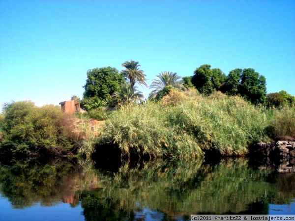 Naturaleza por el Nilo
Navegando por el Nilo en faluca, encuantras muchos rincones.
