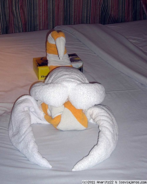 Toalla de escorpion con turbante
En el crucero te suelen sorprender con las curiosas creaciones que hacen con toallas.
