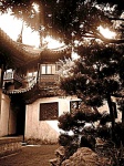 Yuyuan Garden Interior