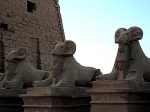 Esfinges en el templo de Luxor
