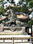 León Chino o Guardián Templo de los Lamas