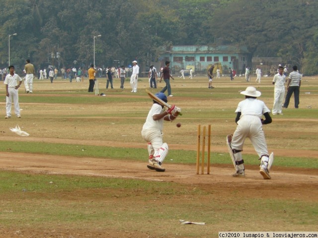 Foro de Mumbai: Cricket en el parque