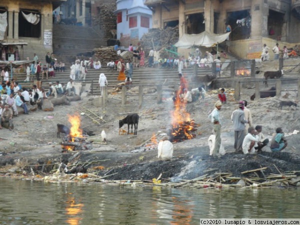 cremaciones en el  Manikarnika Gaht
3003 cremaciones en el  Manikarnika Gaht, Varanasi
