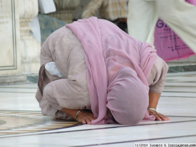 Viajar a  India: Triangulo Dorado - mujer rezando en el Templo Dorado (Triangulo Dorado)