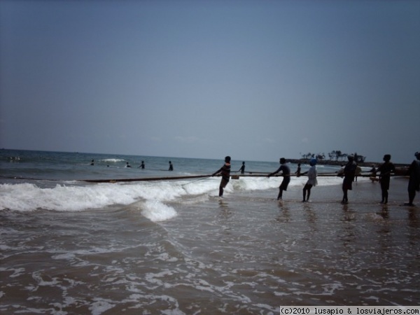 pescando en Mamallapuram 1
1003 pescadores echando las redes, Mamallapuram
