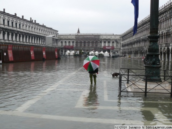 Acqua alta
Tuvimos siuerte. Da buenas fotos.
